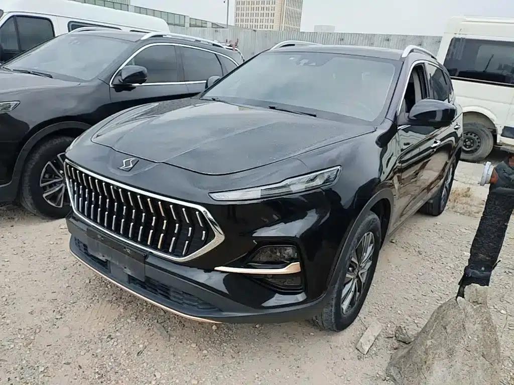 Sihao X7 2021 1.5T Flagship Edition — миниатюра 1