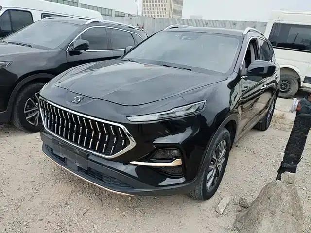 Sihao X7 2021 1.5T Flagship Edition