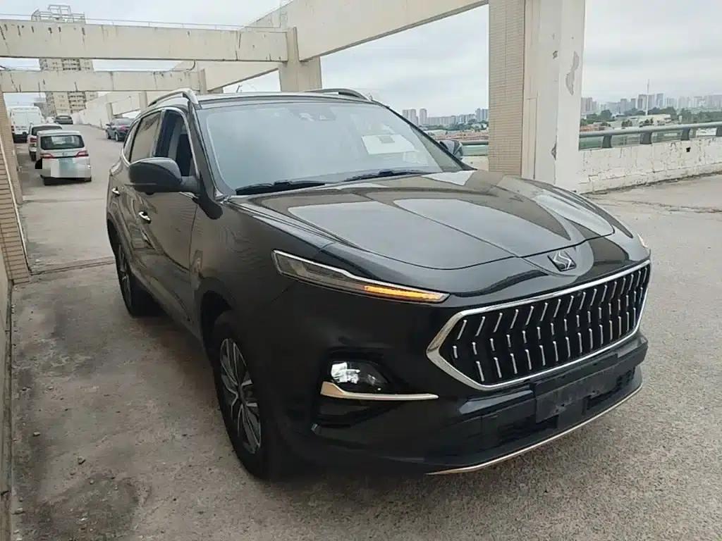 Sihao X7 2021 1.5T Flagship Edition — миниатюра 4