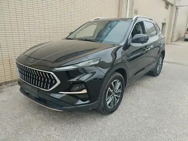 Sihao X7 2021 1.5T Flagship Edition