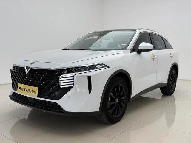 Venucia V2023 260T Tianwang Edition Pro