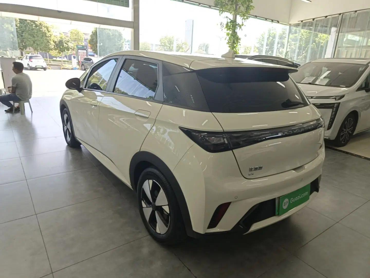 BYD Dolphin 2023 420 km Fashion Edition — миниатюра 4