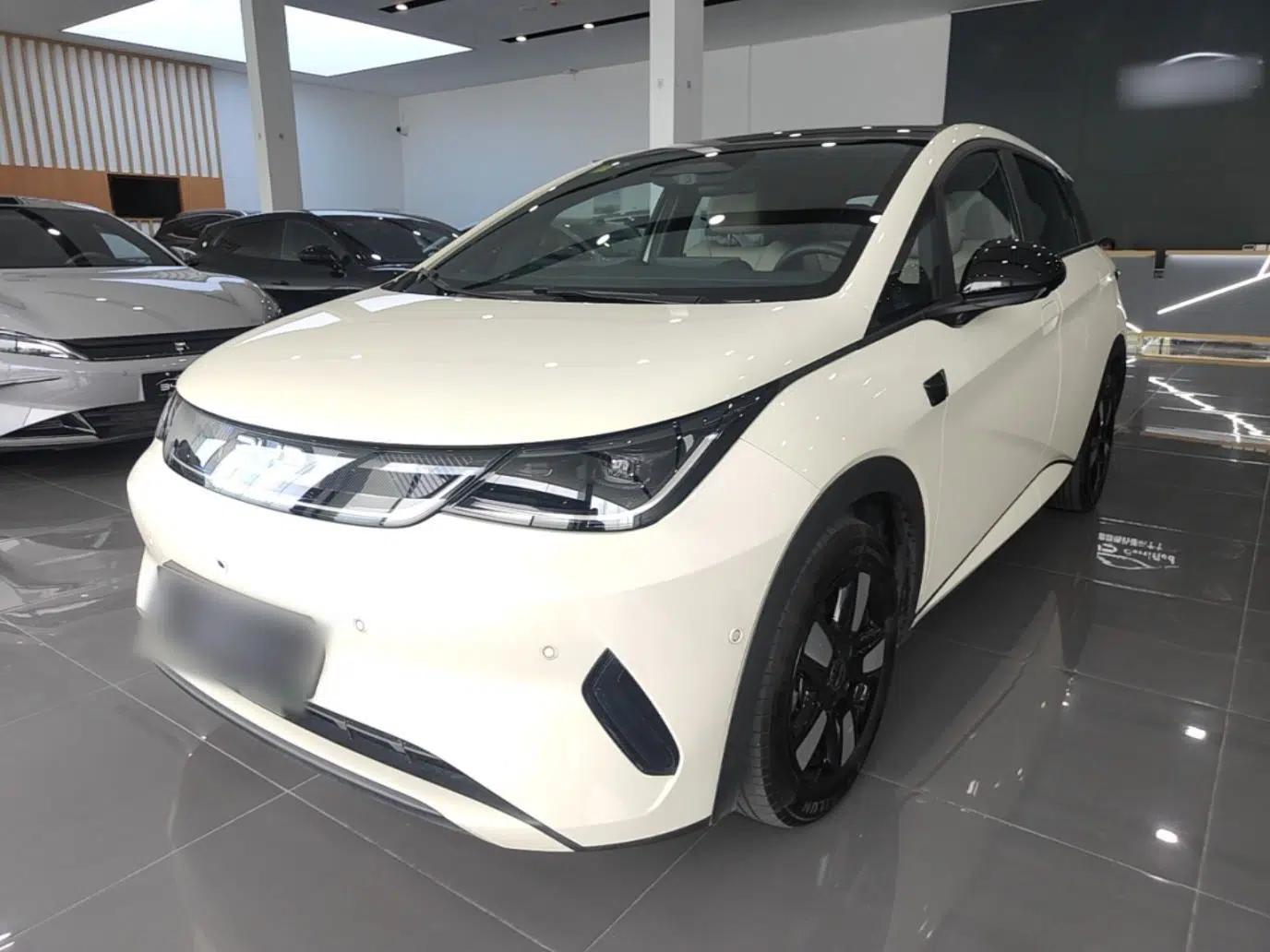BYD Dolphin 2025 Intelligent Driving Version 410 km Fashion Edition — миниатюра 1