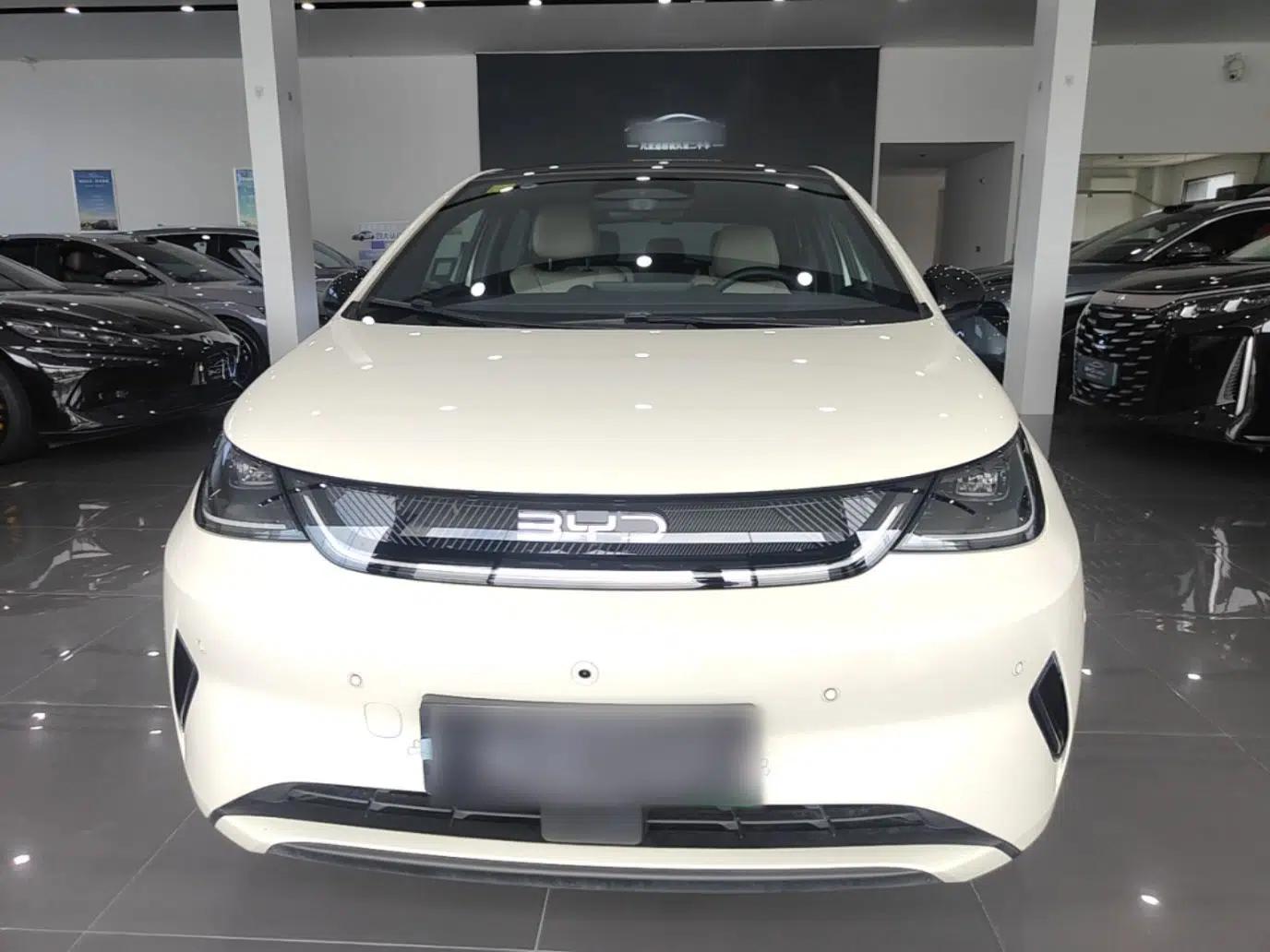 BYD Dolphin 2025 Intelligent Driving Version 410 km Fashion Edition — миниатюра 2