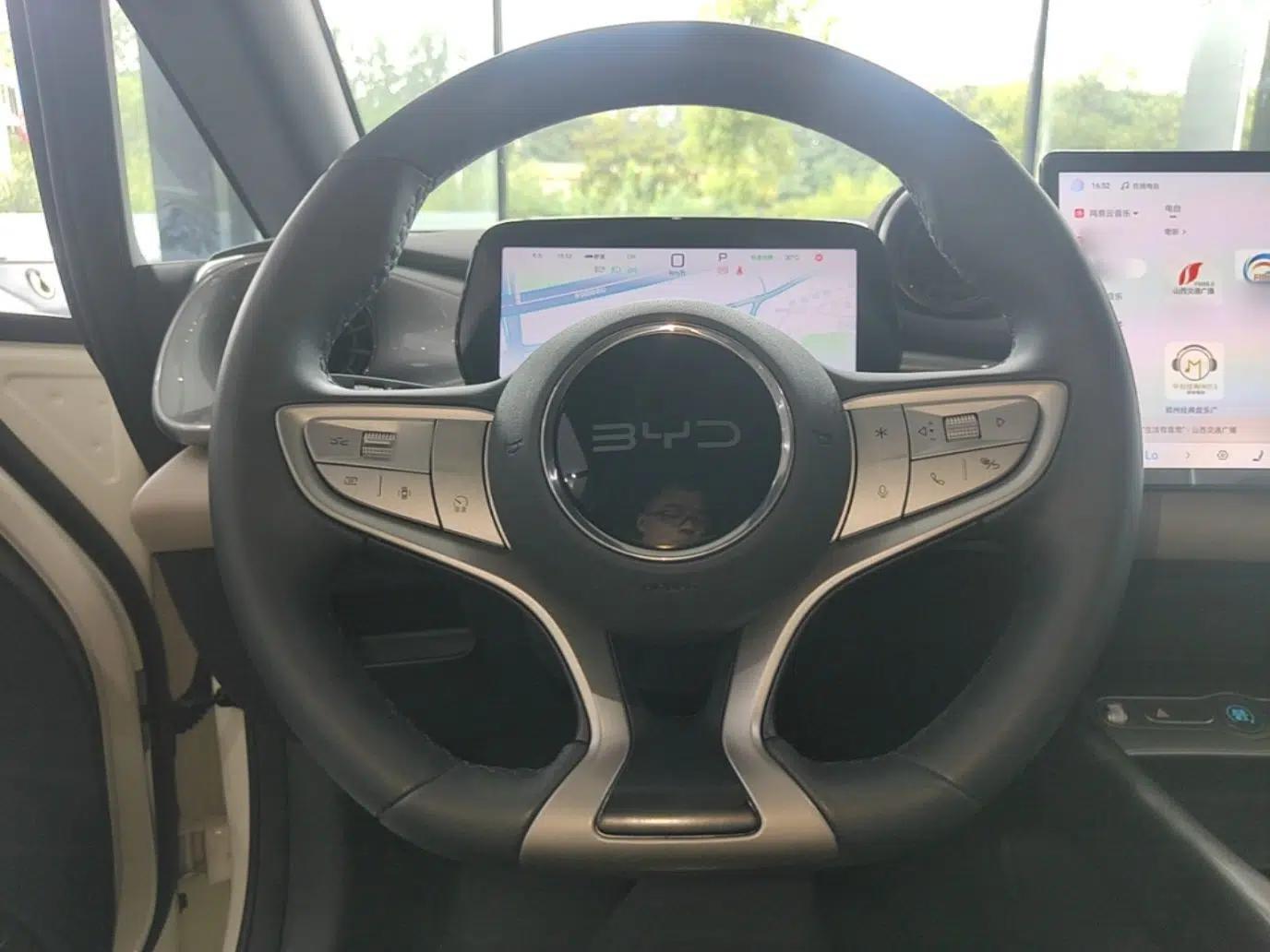 BYD Dolphin 2025 Intelligent Driving Version 410 km Fashion Edition — миниатюра 13