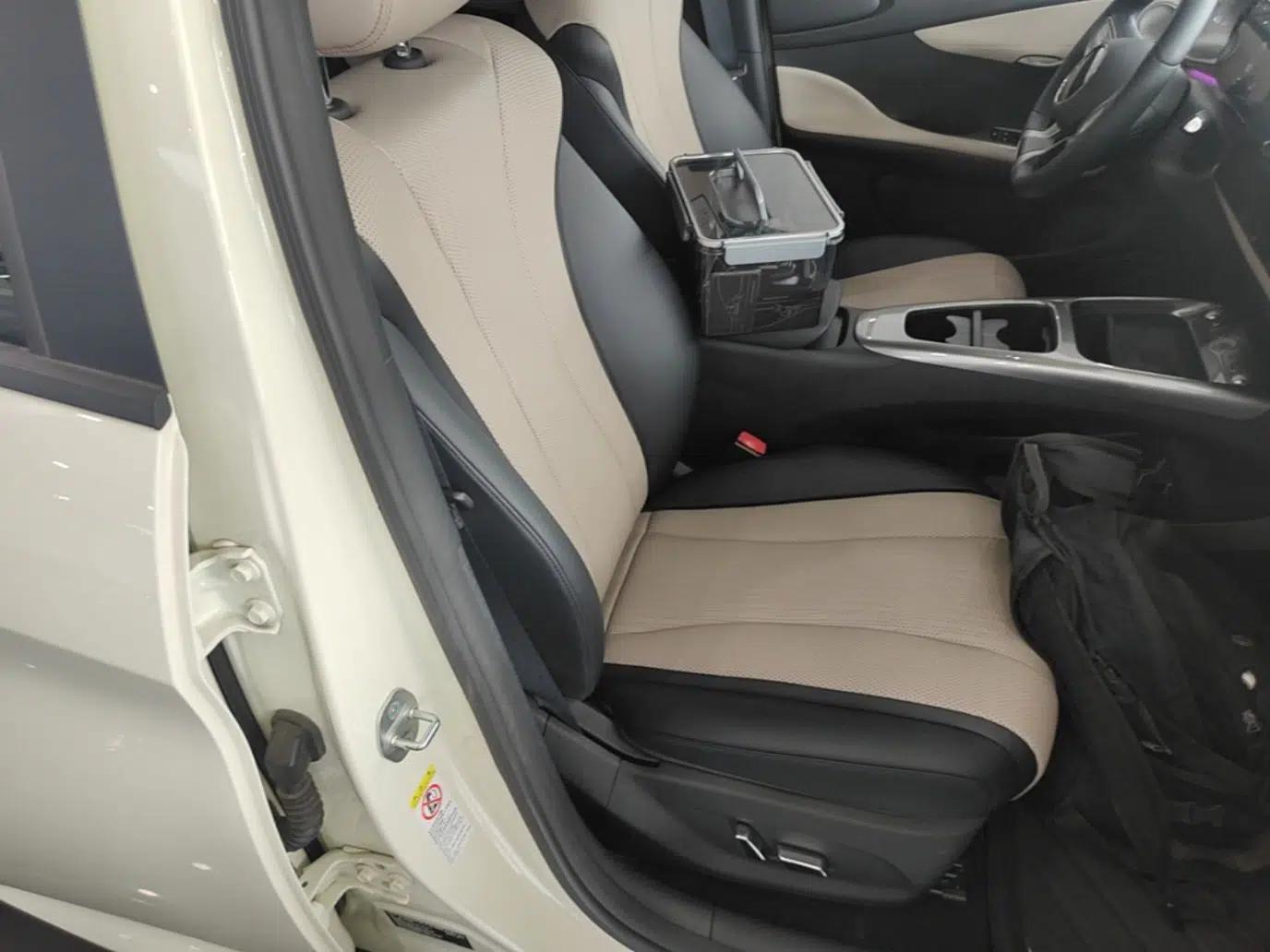 BYD Dolphin 2025 Intelligent Driving Version 410 km Fashion Edition — миниатюра 19
