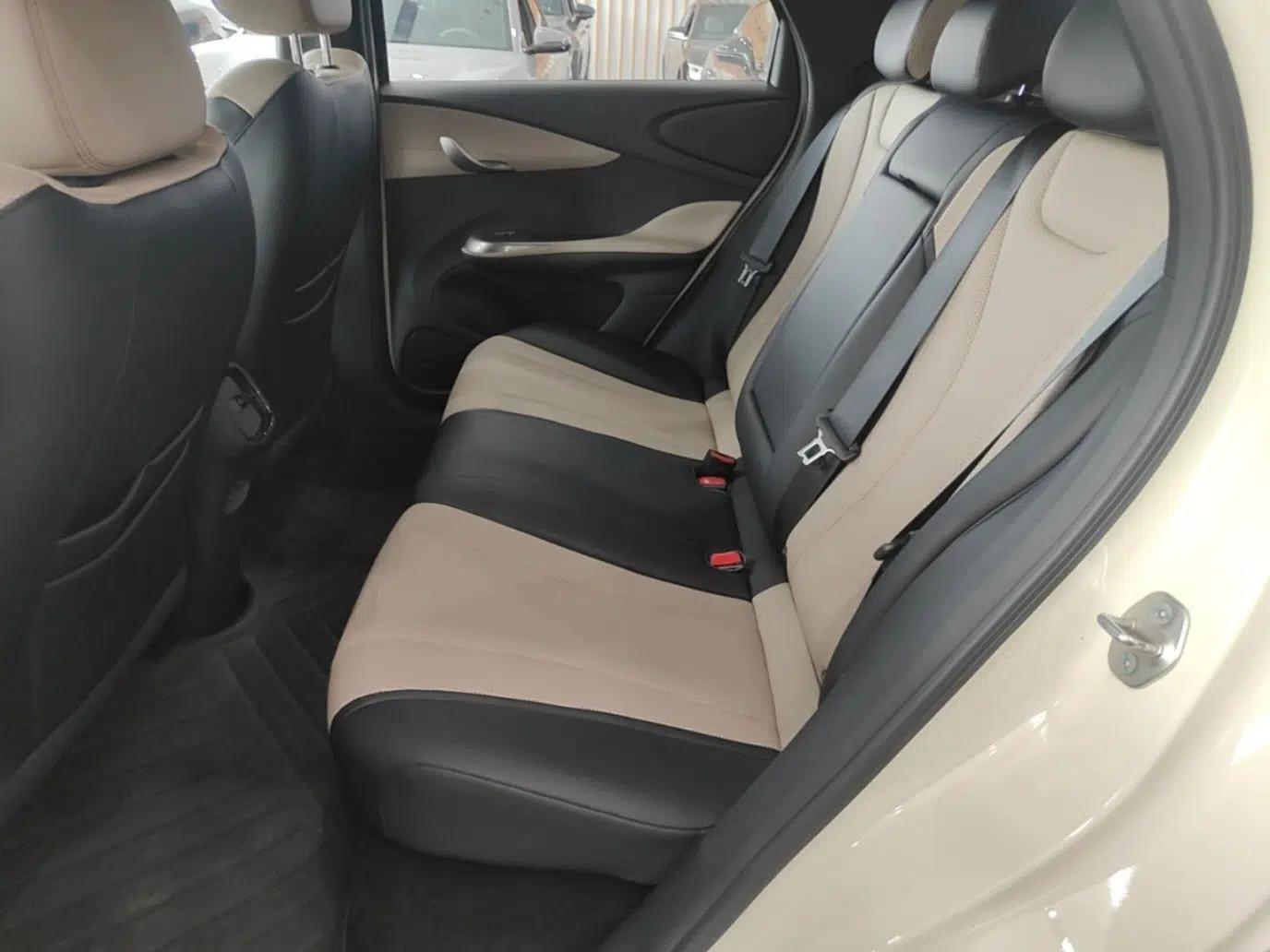 BYD Dolphin 2025 Intelligent Driving Version 410 km Fashion Edition — миниатюра 20