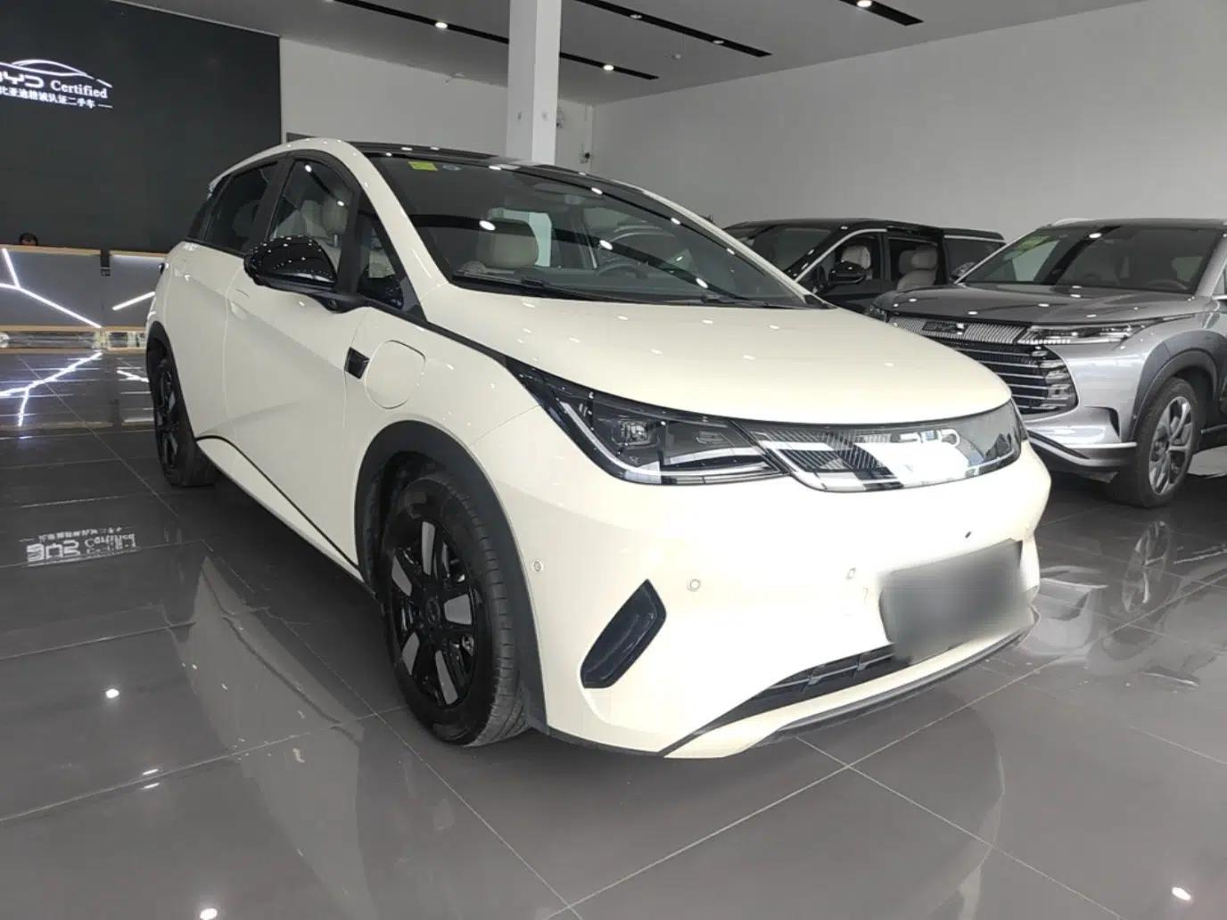 BYD Dolphin 2025 Intelligent Driving Version 410 km Fashion Edition — миниатюра 3