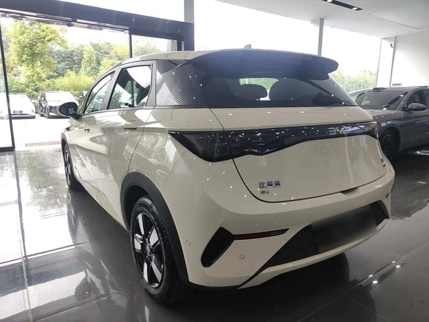 BYD Dolphin 2025 Intelligent Driving Version 410 km Fashion Edition — миниатюра 4