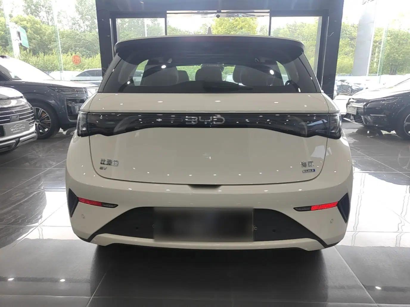 BYD Dolphin 2025 Intelligent Driving Version 410 km Fashion Edition — миниатюра 5