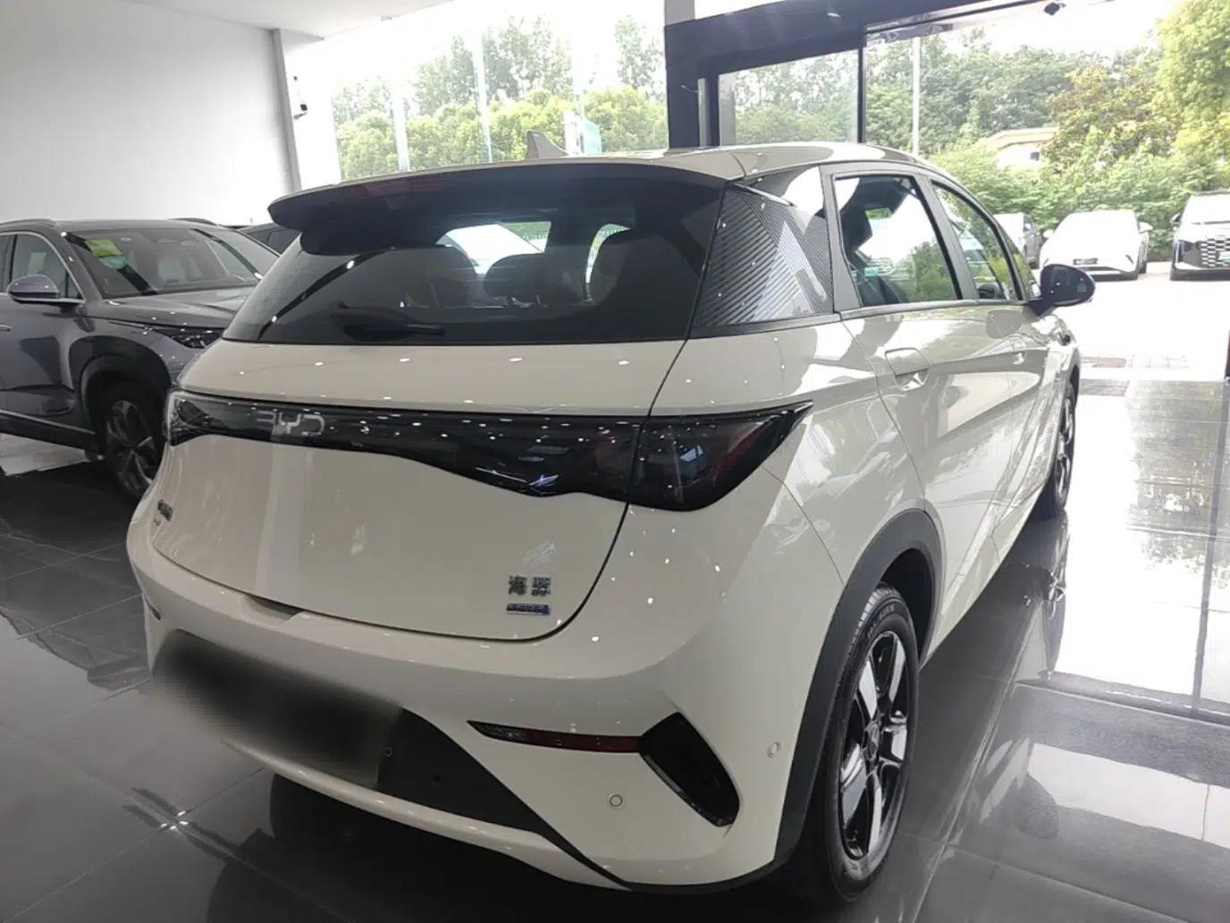 BYD Dolphin 2025 Intelligent Driving Version 410 km Fashion Edition — миниатюра 6