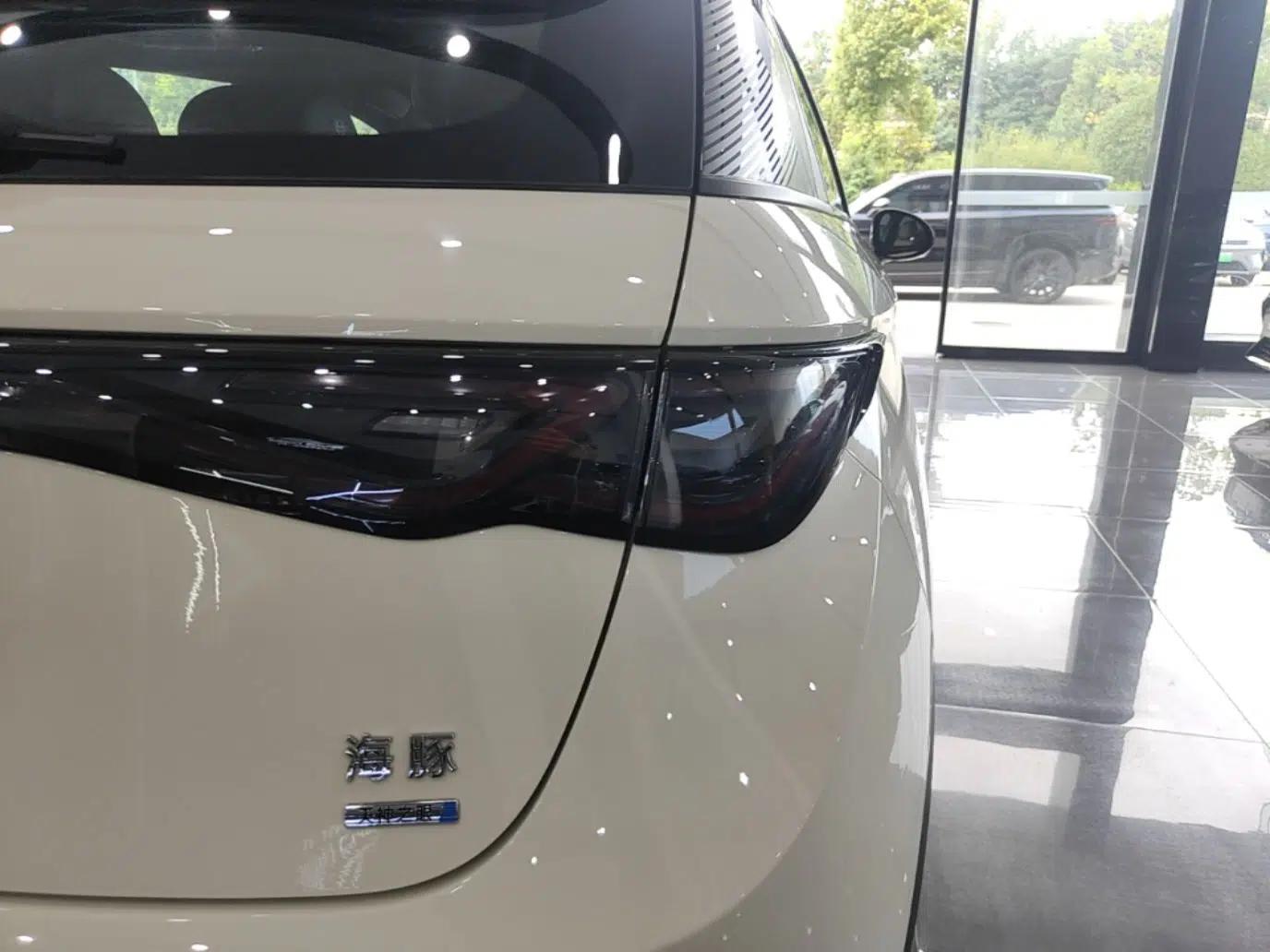 BYD Dolphin 2025 Intelligent Driving Version 410 km Fashion Edition — миниатюра 9