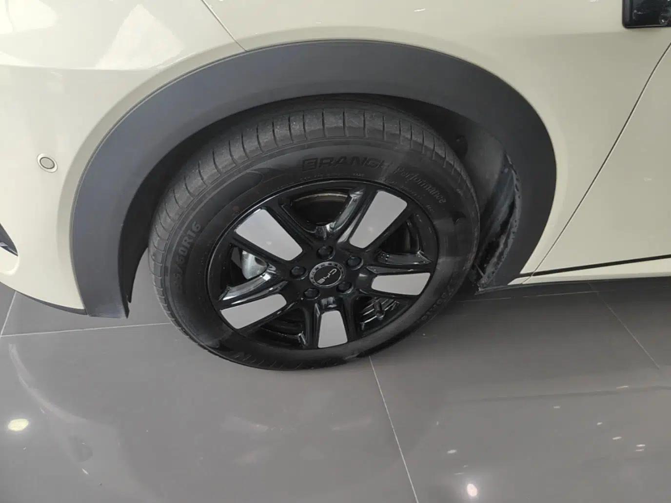 BYD Dolphin 2025 Intelligent Driving Version 410 km Fashion Edition — миниатюра 10