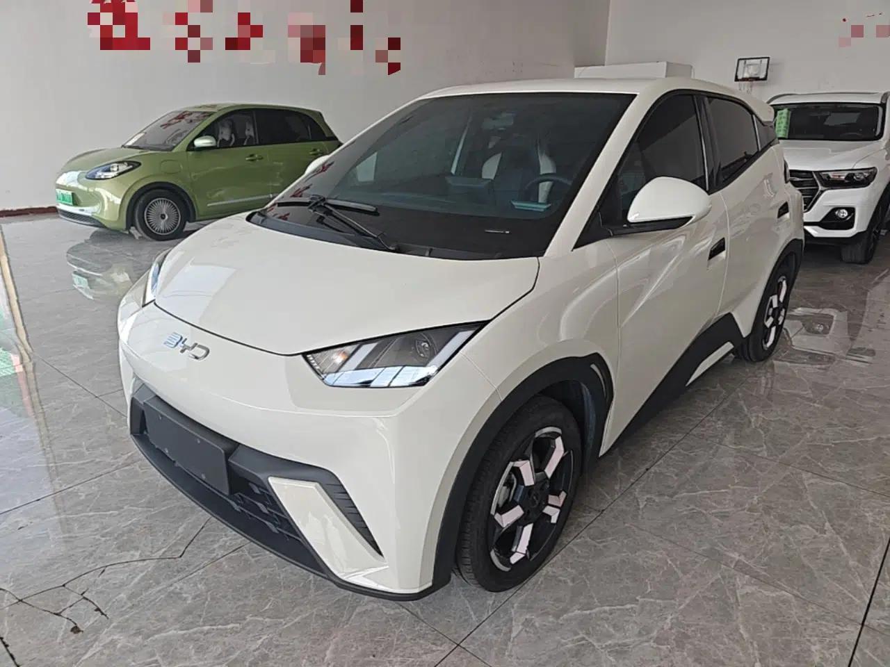 BYD Seagull 2023 Free Edition — миниатюра 1