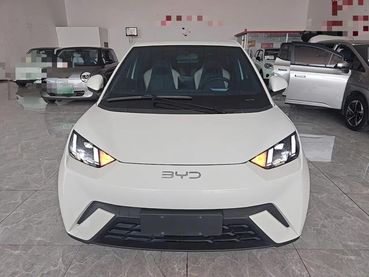 BYD Seagull 2023 Free Edition — миниатюра 2