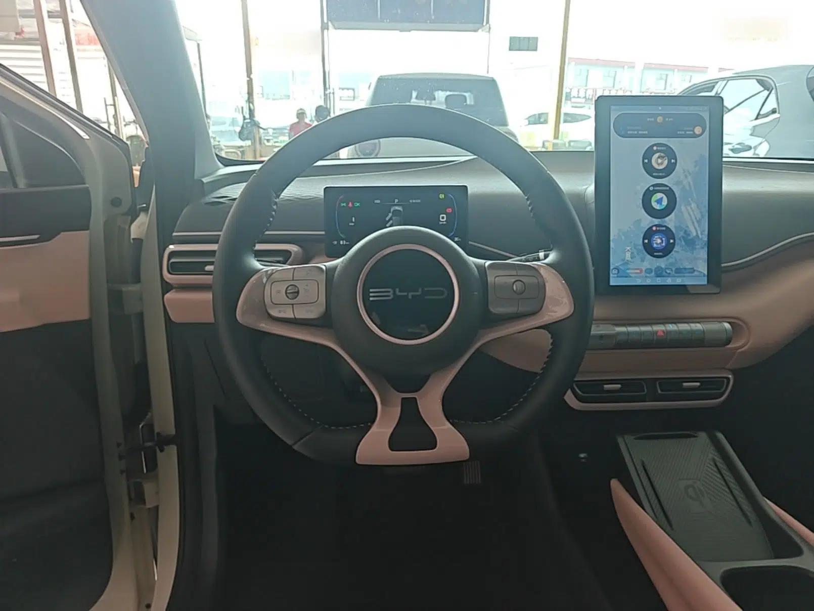 BYD Seagull 2023 Free Edition — миниатюра 13