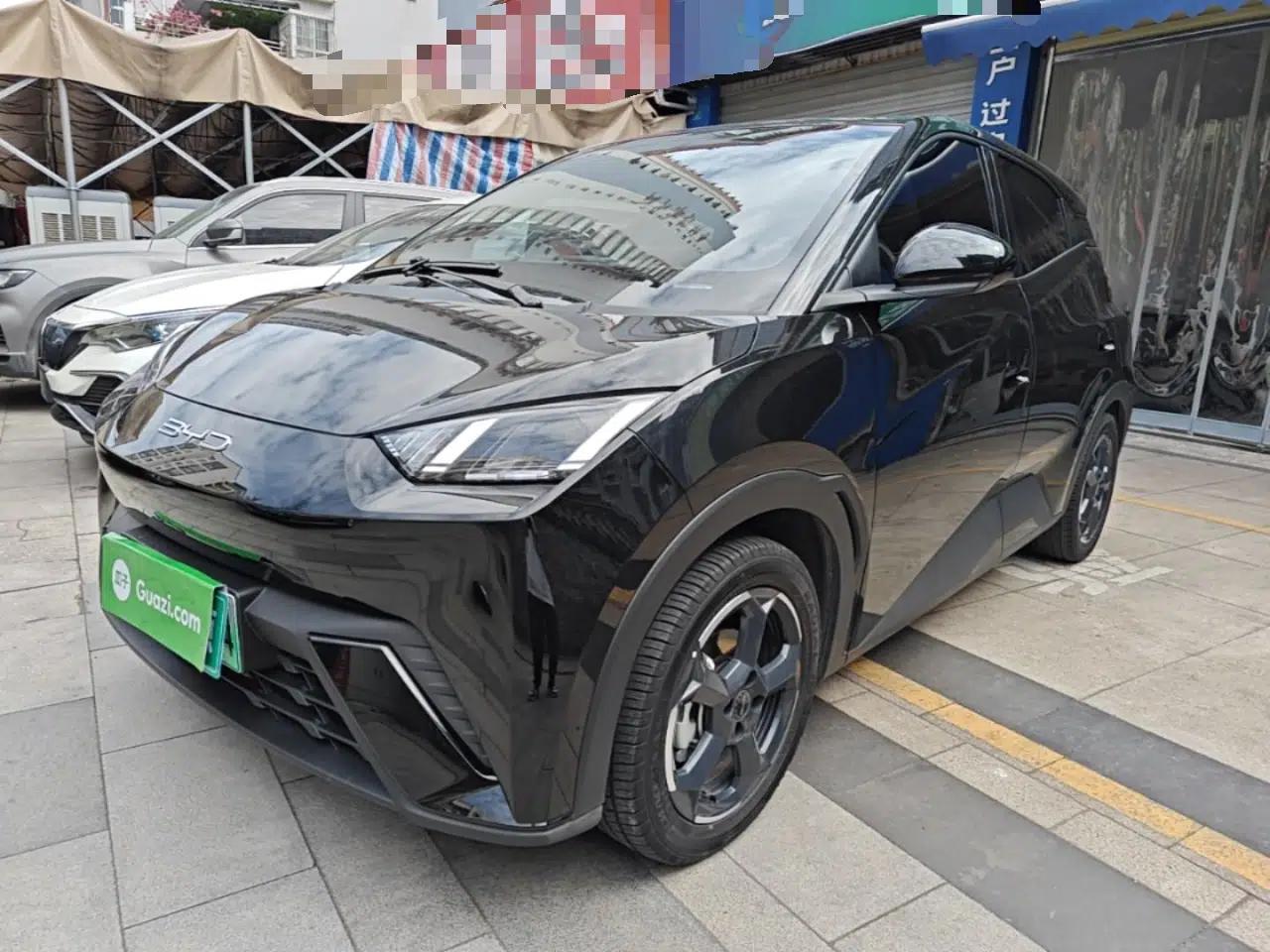 BYD Seagull 2023 Free Edition — миниатюра 1
