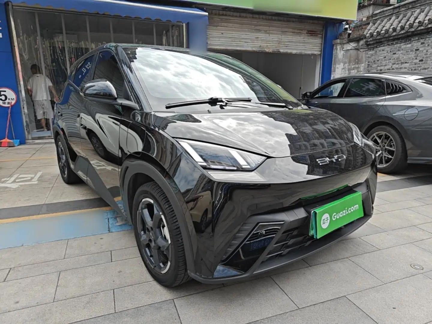 BYD Seagull 2023 Free Edition — миниатюра 3