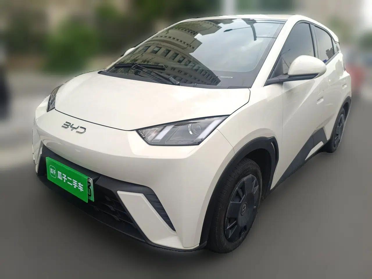 BYD Seagull 2024 Honor Edition 305km Dynamic Version — миниатюра 1