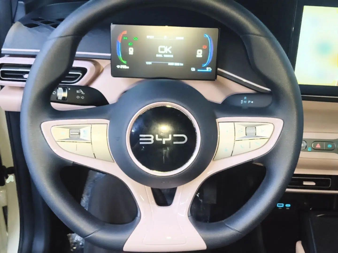 BYD Seagull 2025 Intelligent Driving Version 305 km Dynamic Edition — миниатюра 13