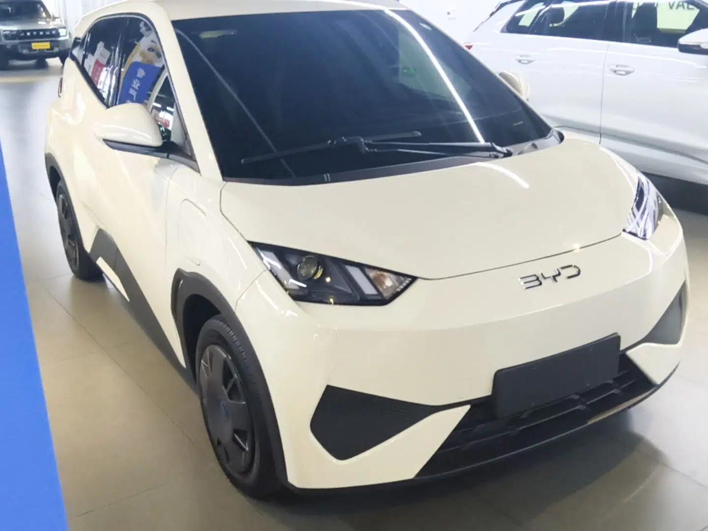 BYD Seagull 2025 Intelligent Driving Version 305 km Dynamic Edition — миниатюра 3