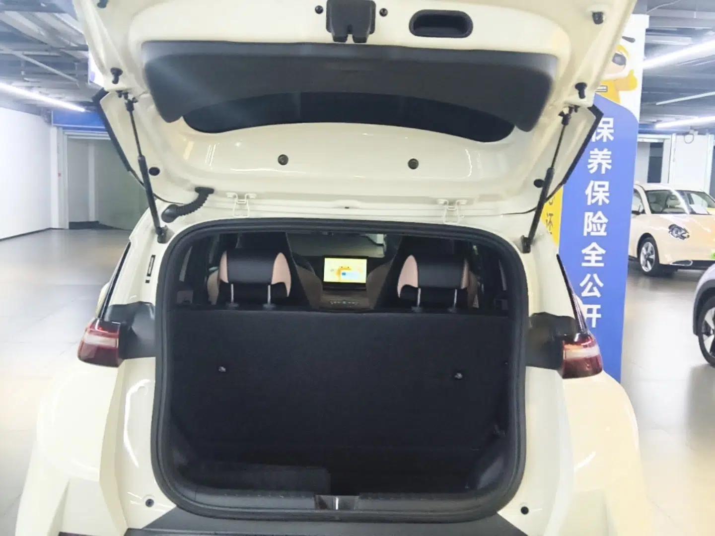 BYD Seagull 2025 Intelligent Driving Version 305 km Dynamic Edition — миниатюра 22