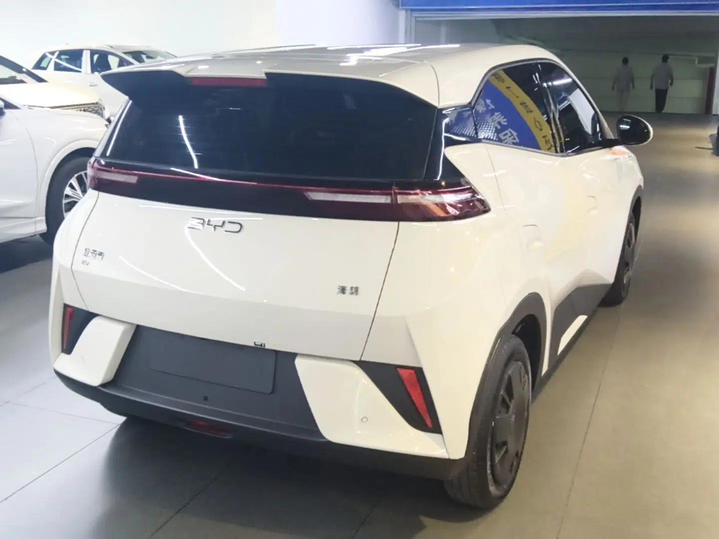 BYD Seagull 2025 Intelligent Driving Version 305 km Dynamic Edition — миниатюра 6