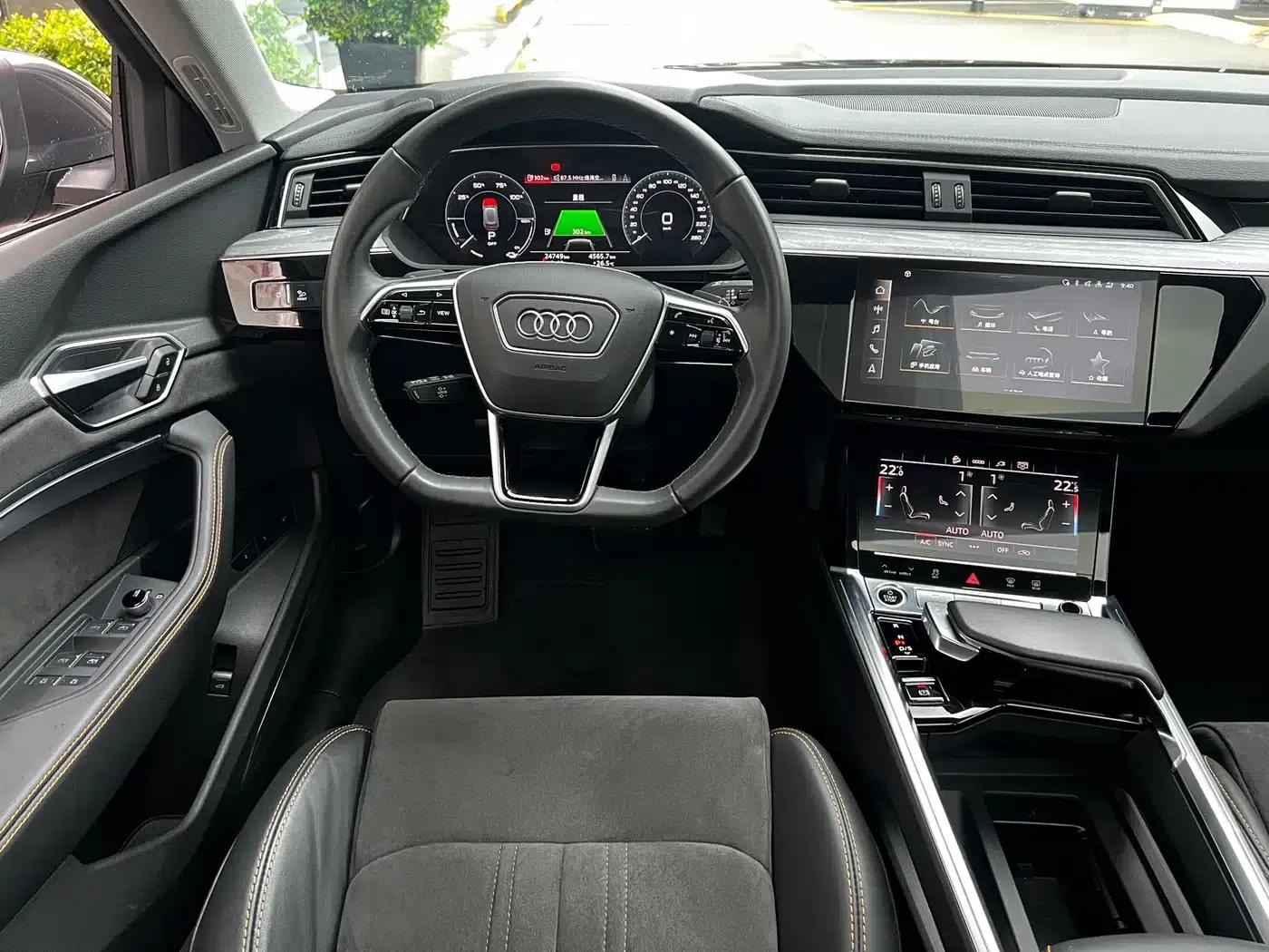 Audi e-tron 2021 50 quattro Premium Edition — миниатюра 13