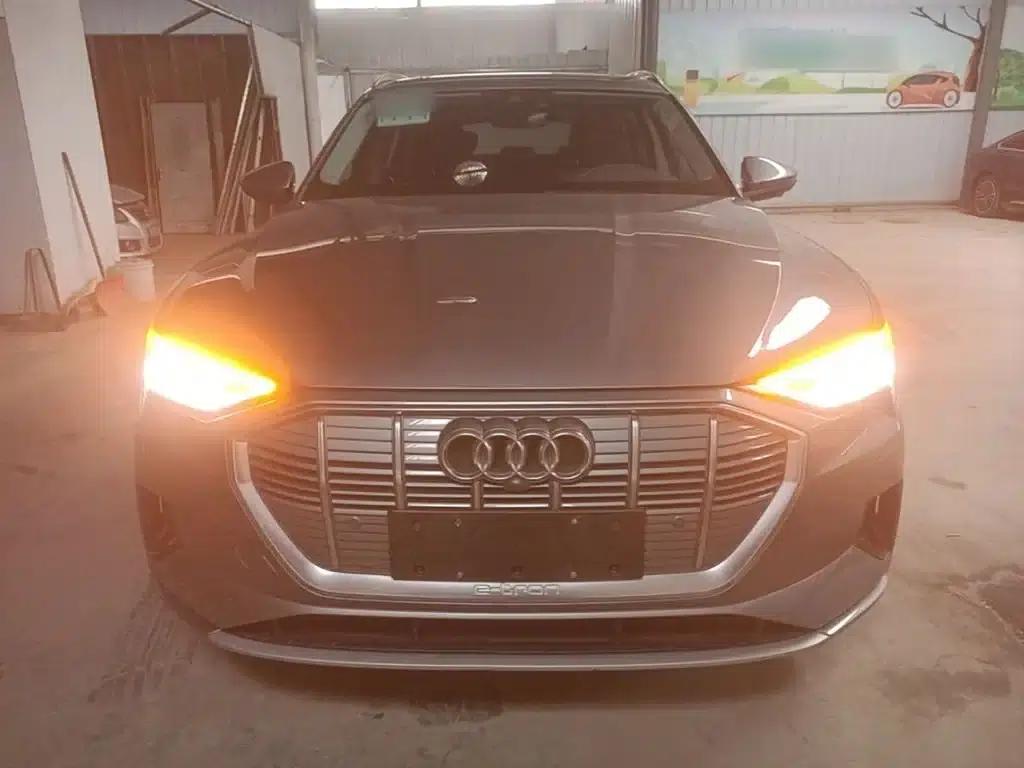 Audi e-tron (Imported) 2019 55 quattro Technology Edition — миниатюра 3