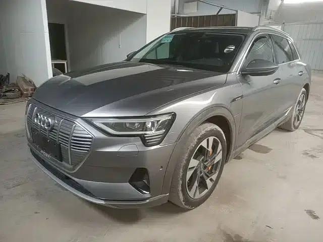 Audi e-tron (Imported) 2019 55 quattro Technology Edition
