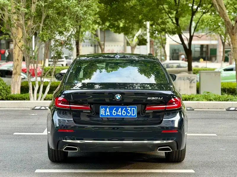 BMW 5 Series 2022 Facelift 530Li Leading Luxury Package — миниатюра 5
