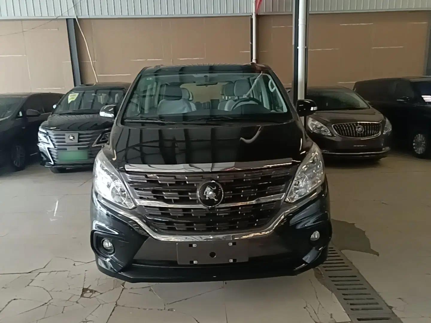 FORTHING Lingzhi PLUS 2025 Model 1.5T Manual Luxury Edition 7-seater — миниатюра 2