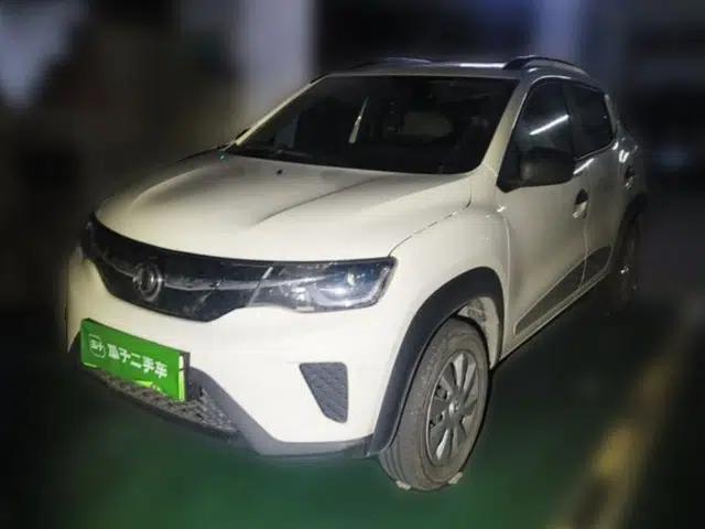 Dongfeng NAMMI EX1 2021 Zhi Ling Version