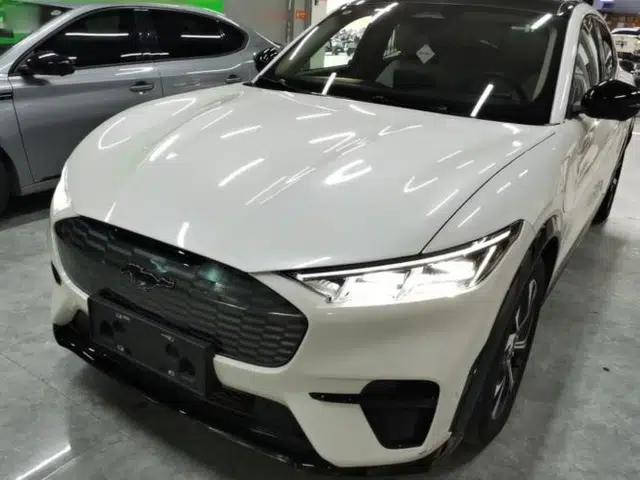Ford Mustang Mach-E 2021 AION Y Plus Rear-Drive Luxury Edition (Long Range)