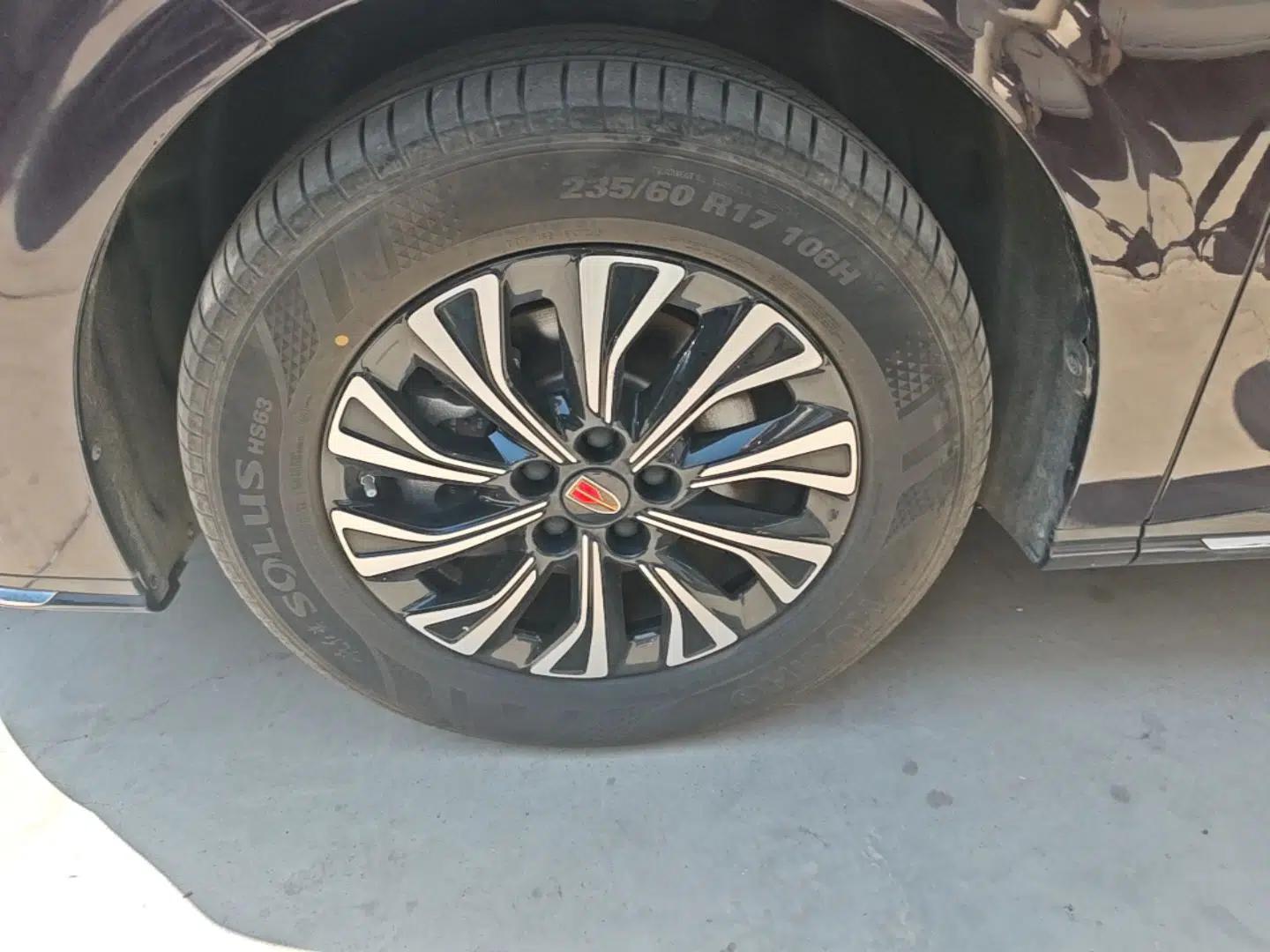 Hongqi HQ9 PHEV 2024 2.0T Four-Wheel Drive Business Edition — миниатюра 10