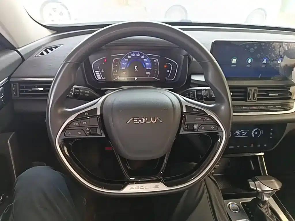 Aeolus Aeolus GS 2020 230T Automatic Premium Edition — миниатюра 11