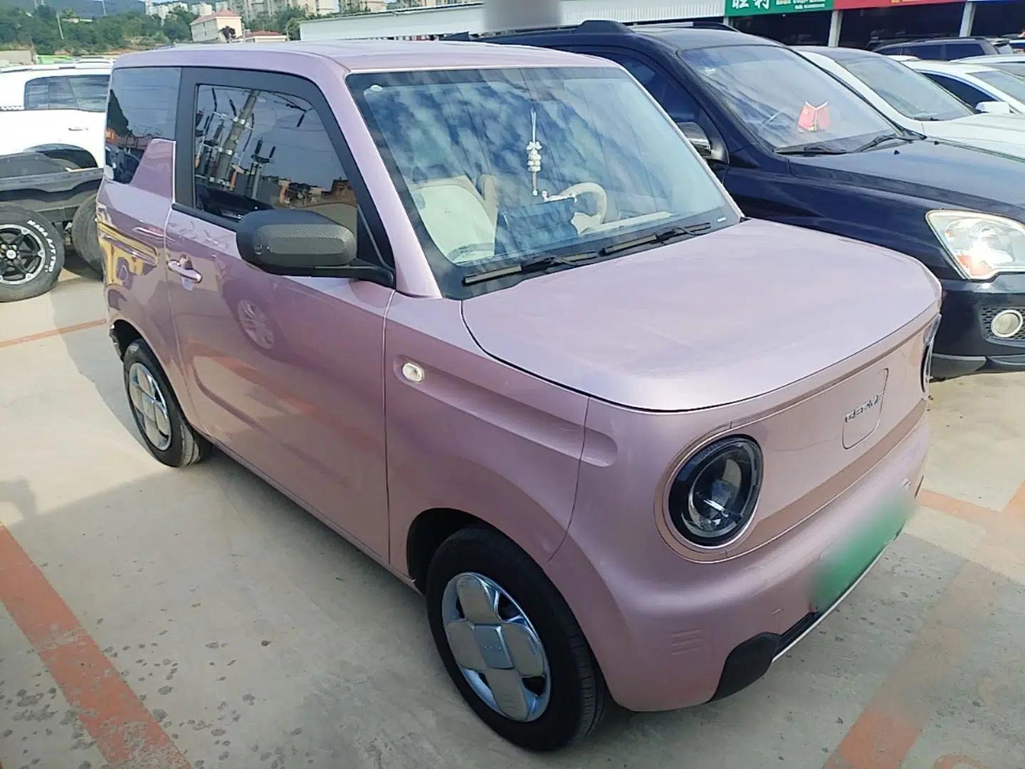 Geely Galaxy Panda 2024 Panda Mini 200km Endurance Bear — миниатюра 3