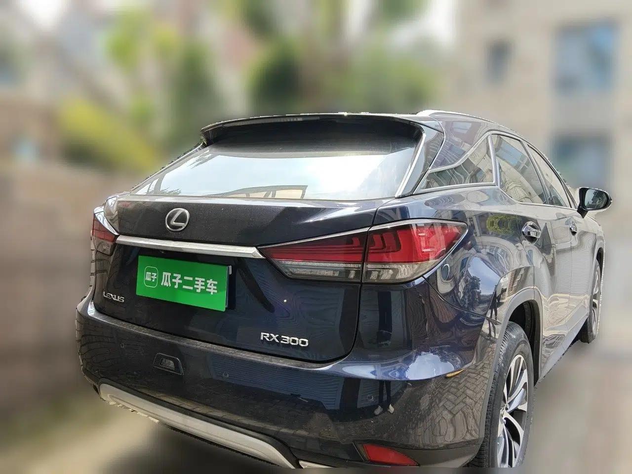 Lexus RX 2020 Revised Version 300 Two-Wheel Drive Elite Edition — миниатюра 5
