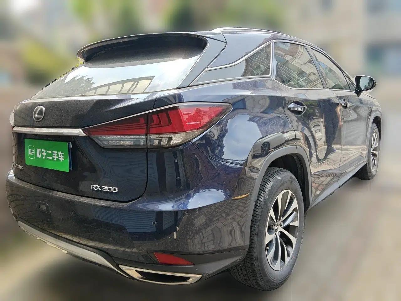 Lexus RX 2020 Revised Version 300 Two-Wheel Drive Elite Edition — миниатюра 6