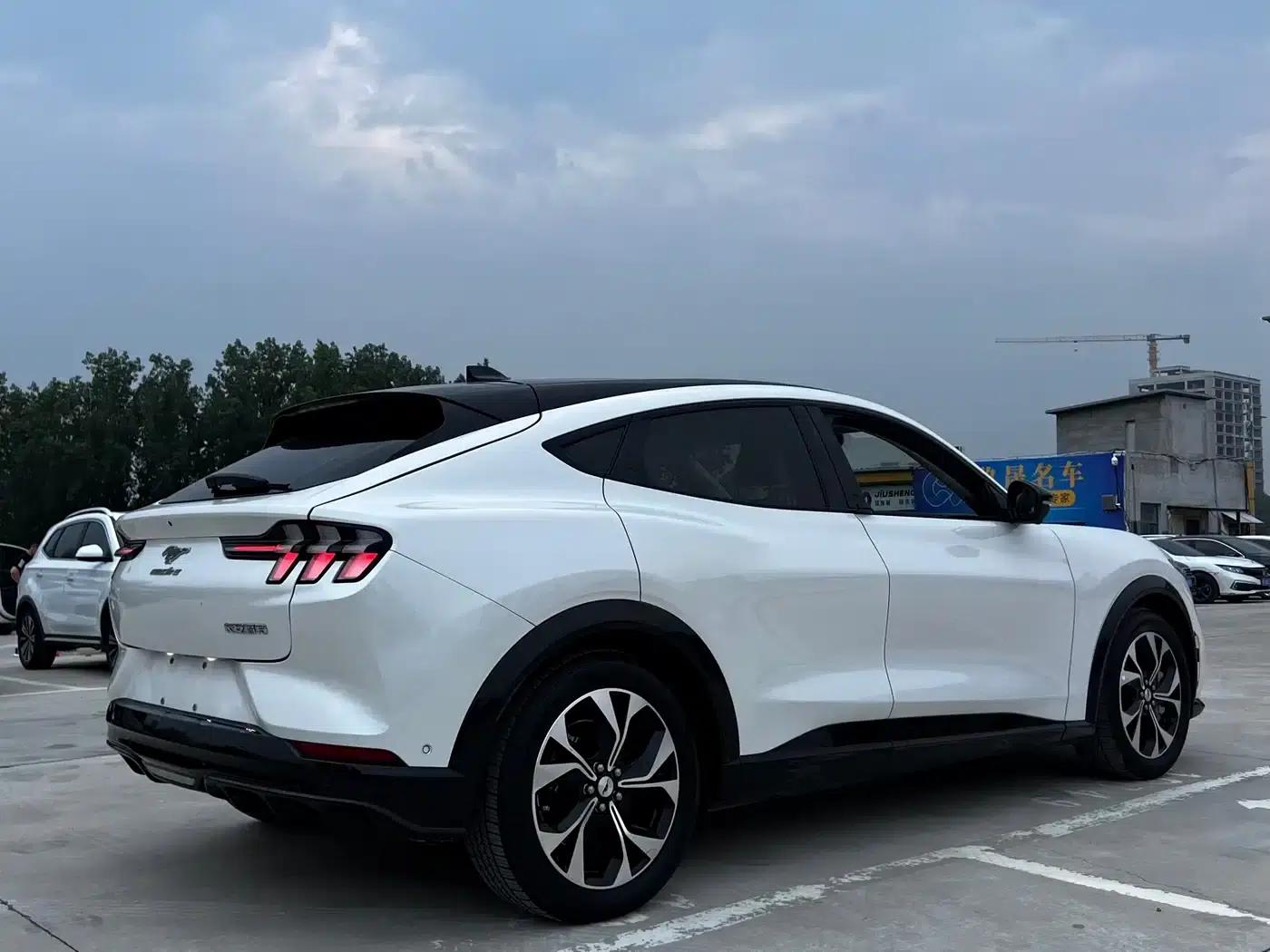 Ford e31 2021 Model X Unlimited Rear-Wheel Drive Luxury Edition Long Range — миниатюра 5