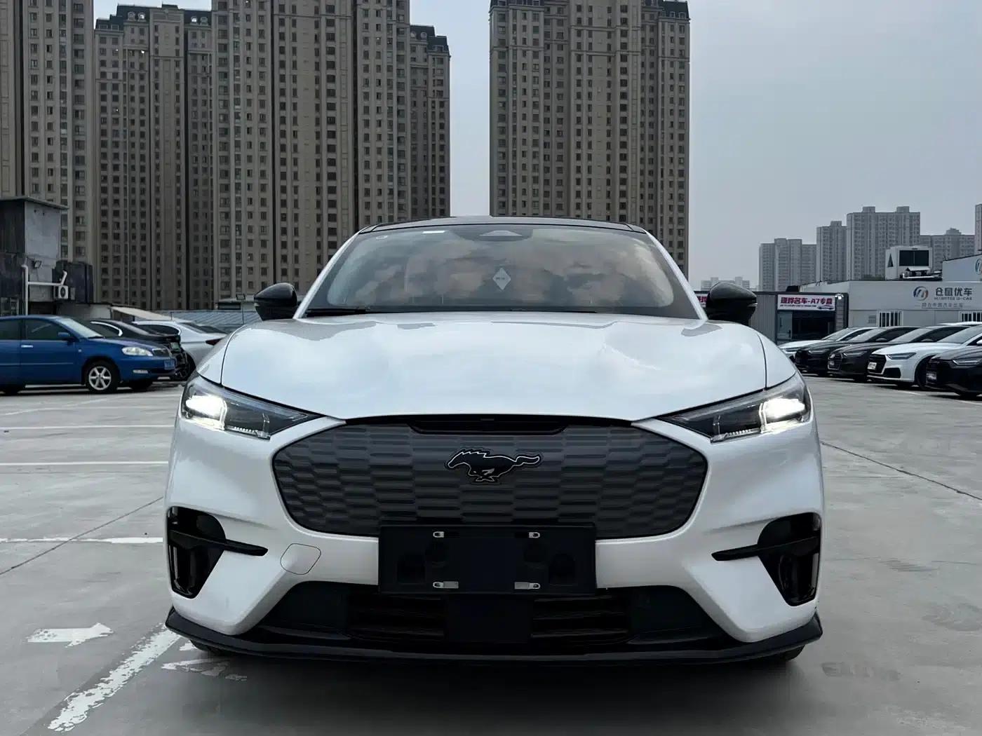 Ford e31 2021 Model X Unlimited Rear-Wheel Drive Luxury Edition Long Range — миниатюра 8
