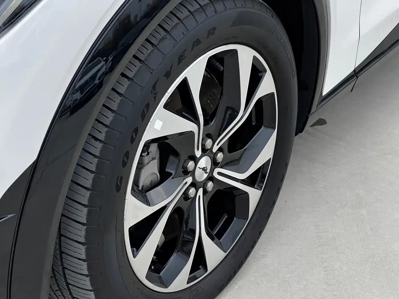 Ford e31 2021 Model X Unlimited Rear-Wheel Drive Luxury Edition Long Range — миниатюра 10