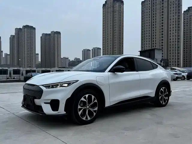 Ford e31 2021 Model X Unlimited Rear-Wheel Drive Luxury Edition Long Range