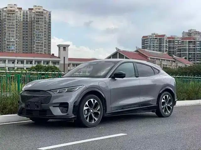 Ford e31 2021 Model X Unlimited Rear-Wheel Drive Luxury Edition Long Range