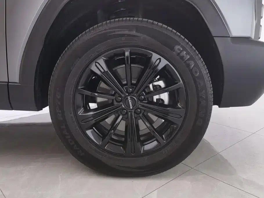 Haval Raptor New Energy 2024 Hi4 102 Pro — миниатюра 6