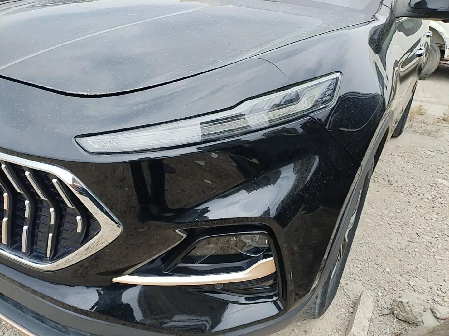 SOL X7 2021 1.5T Flagship Edition — миниатюра 8