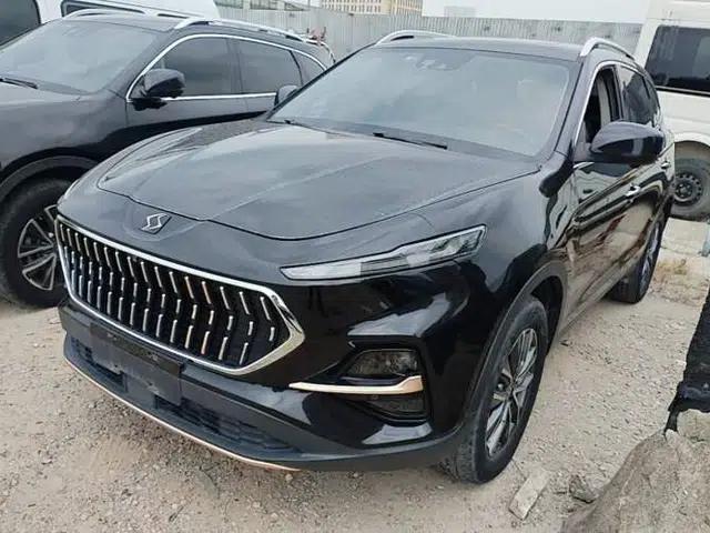 SOL X7 2021 1.5T Flagship Edition