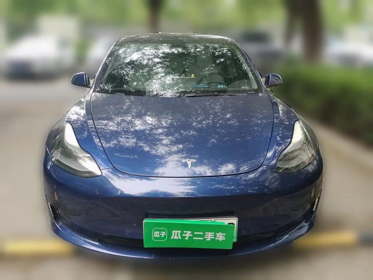 Tesla Model 3 2021 Standard Range Rear-Wheel Drive Upgraded Version 3D6 — миниатюра 2