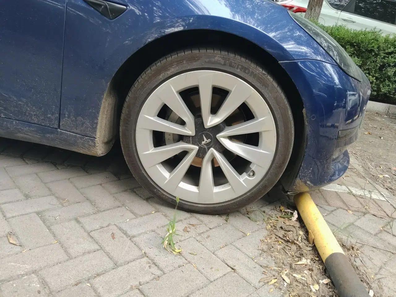 Tesla Model 3 2021 Standard Range Rear-Wheel Drive Upgraded Version 3D6 — миниатюра 8
