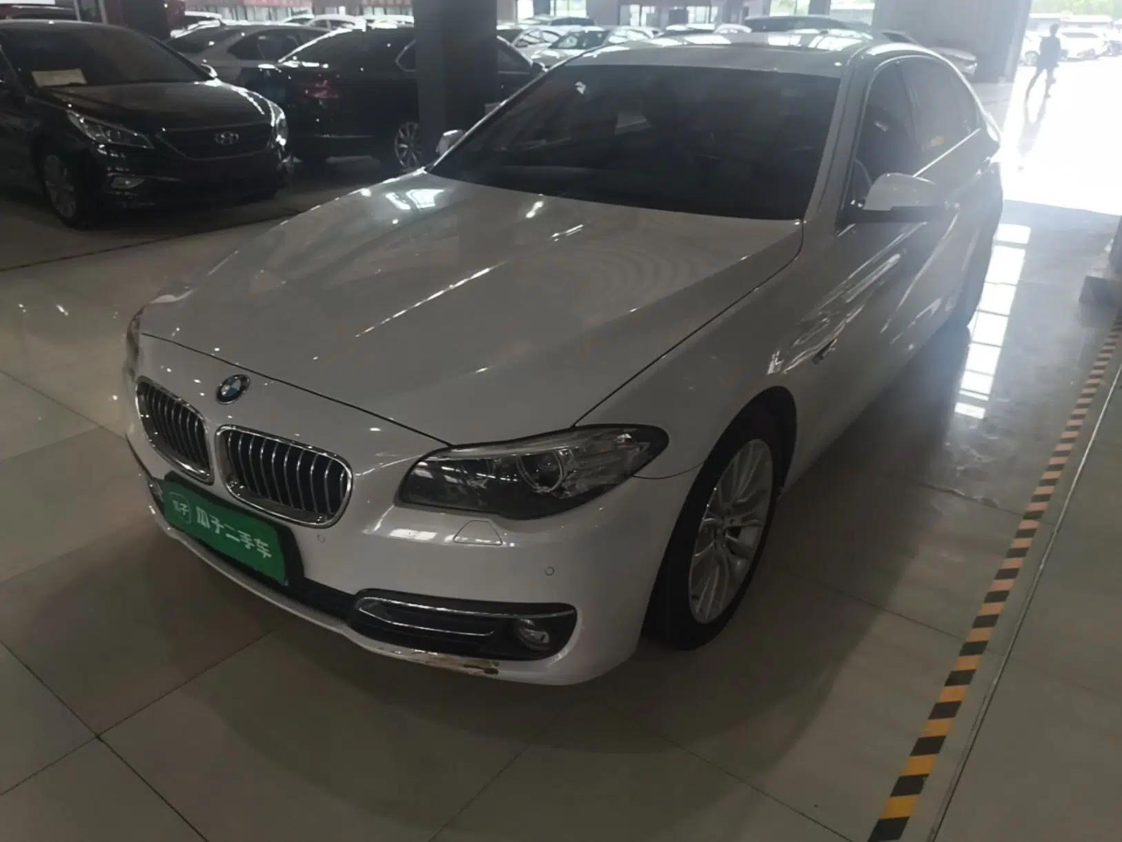BMW 5 Series 2014 525Li Luxury Design Package — миниатюра 1